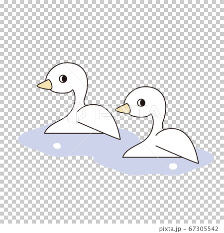 Illustration of two ducks swimming side by side on the water 67305542