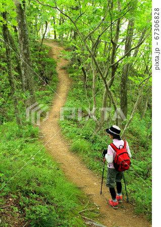 中高年の軽登山 中高年の軽登山 67306828