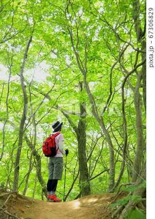 中高年の軽登山 67306829