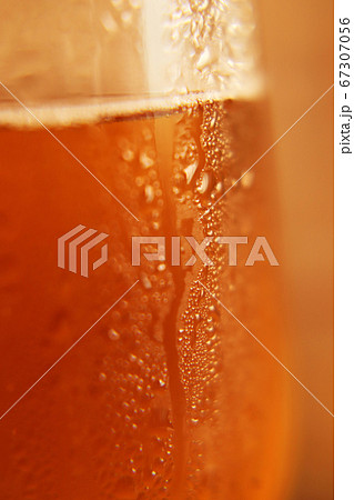 グラスに注がれた冷えたビールのクロースアップ写真 グラスに注がれた冷えたビールのクロースアップ写真 67307056