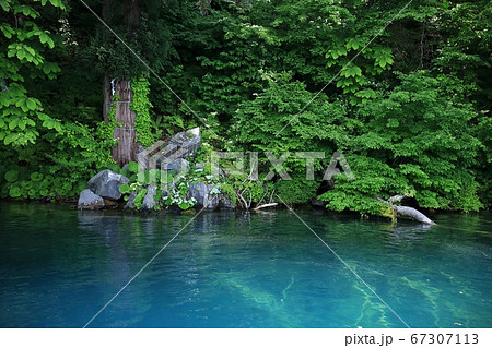 十和田湖神社占い場 十和田湖神社占い場 67307113