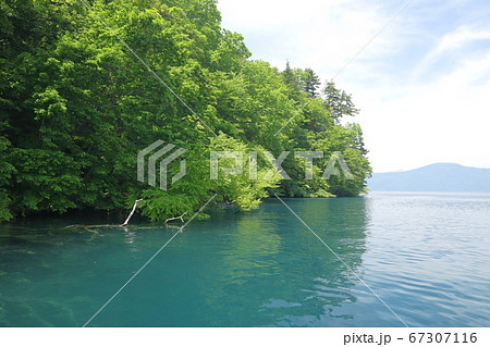 中山半島 67307116