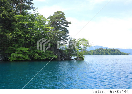 見返りの松 見返りの松 67307146