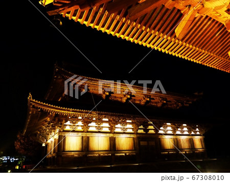 東寺　ライトアップ 67308010