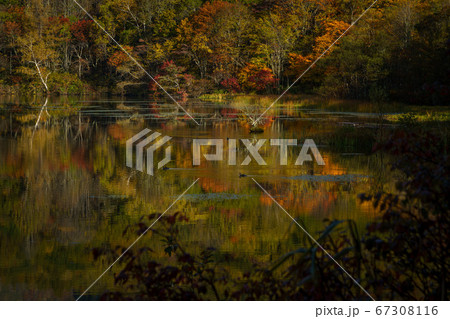 紅葉の戸隠鏡池 紅葉の戸隠鏡池 67308116