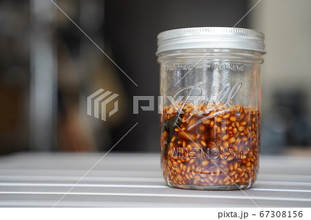 メイソンジャーで作る日本の伝統発酵食品のひしお。発酵初日。 メイソンジャーで作る日本の伝統発酵食品のひしお。発酵初日。 67308156