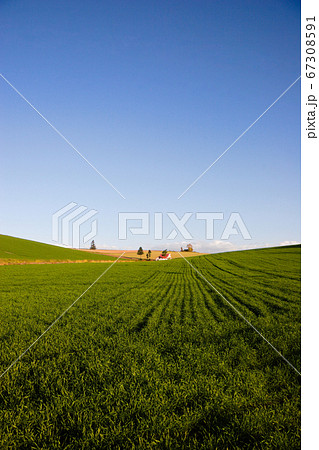 赤い屋根のある丘 67308591