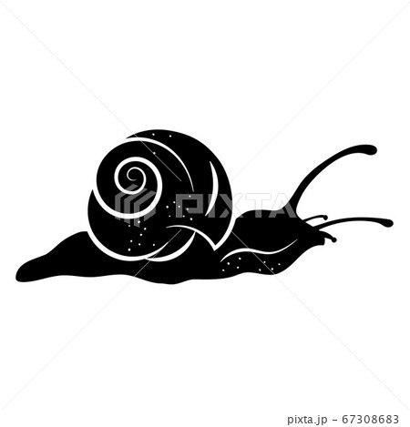 Icon Snail Animal Hand Drawn Silhouette In のイラスト素材