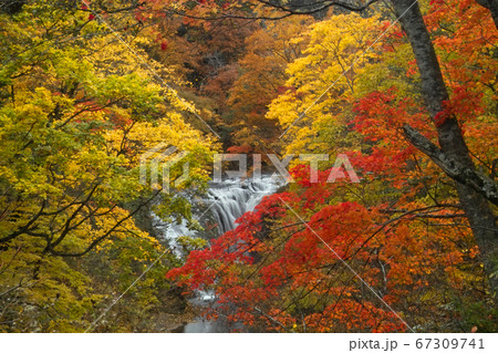 白扇の滝 67309741