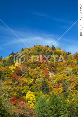 沙流川渓谷 67309957