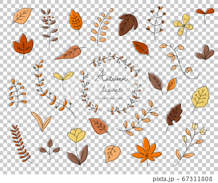 手書きの秋の葉のイラストのセット 紅葉 もみじ 素材 オレンジのイラスト素材