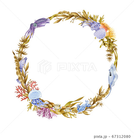 Coral reef fauna watercolor wreath. Coral reef fauna watercolor wreath. 67312080