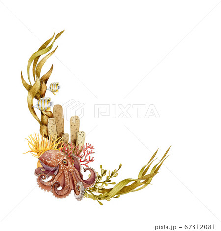 Octopus with corals and reef fauna illustration. Octopus with corals and reef fauna illustration. 67312081