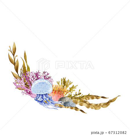 Blue jellyfish with seaweed and corals 67312082