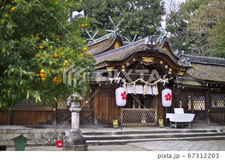 平野神社 京都 平野神社 京都 67312203