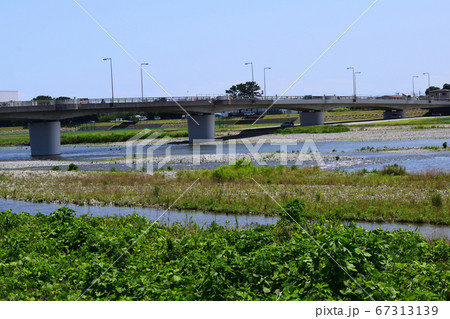 酒匂川河川敷 酒匂橋 酒匂川河川敷 酒匂橋 67313139