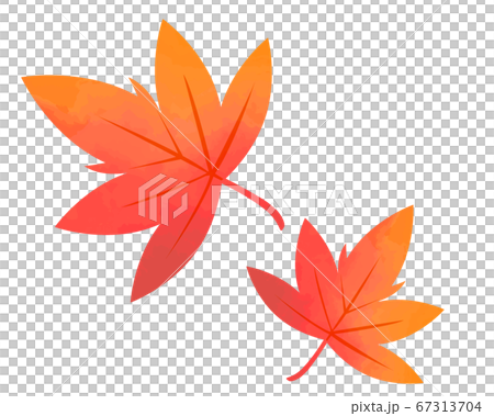 舞い落ちる紅葉のイラスト 紅葉 楓 のイラスト素材