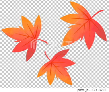 舞い落ちる紅葉のイラスト 紅葉 楓 のイラスト素材