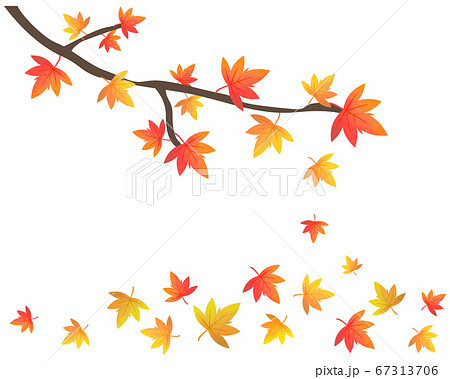 舞い落ちる紅葉のイラスト 紅葉 楓 のイラスト素材