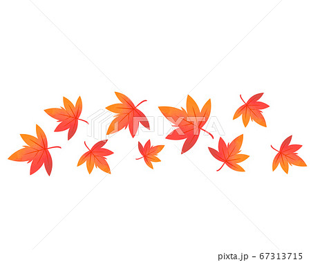 落ちた紅葉のイラスト 紅葉 楓 のイラスト素材