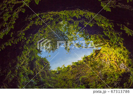 Cave in an extinct volcano on the island of Terceira Gruta do Algar do Carvao. Azores, Portugal Cave in an extinct volcano on the island of Terceira Gruta do Algar do Carvao. Azores, Portugal 67313786