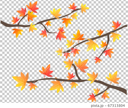 紅葉のイラスト 楓 木のイラスト素材