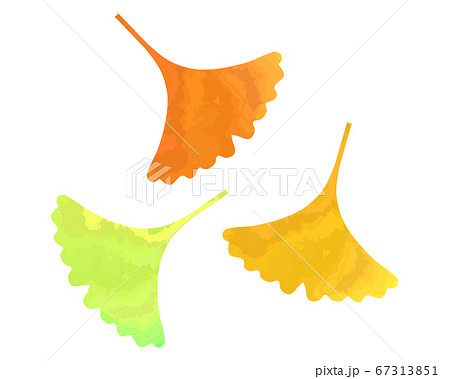 舞い落ちる銀杏の葉のイラストのイラスト素材