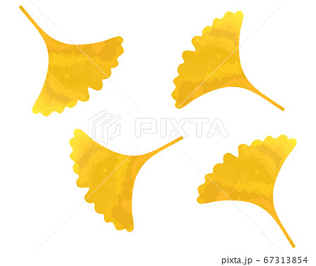 舞い落ちる銀杏の葉のイラストのイラスト素材