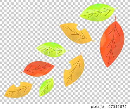 カラフルな落ち葉のイラストのイラスト素材
