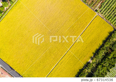 aerial view of farm aerial view of farm 67314536