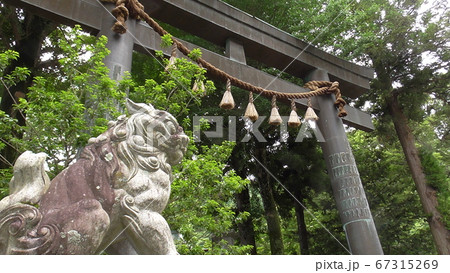 諏訪大社の上社前宮のこまいぬと鳥居 諏訪大社の上社前宮のこまいぬと鳥居 67315269