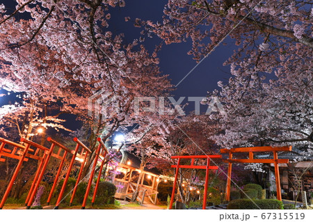 丸高稲荷神社 67315519