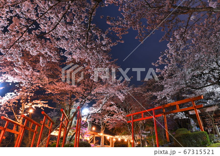 丸高稲荷神社 67315521