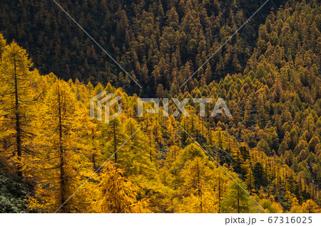 Beautiful Autumn landscape view of Baimang mountain in China Beautiful Autumn landscape view of Baimang mountain in China 67316025