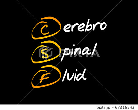 CSF - cerebrospinal fluid acronym, medical concept CSF - cerebrospinal fluid acronym, medical concept 67316542