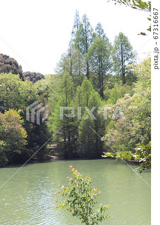 江汐公園 67316667