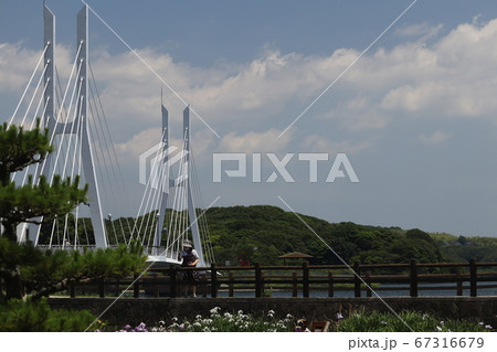 ときわ大橋の風景 67316679