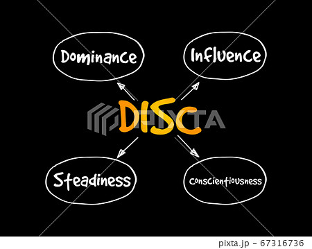 DISC business and education concept DISC business and education concept 67316736