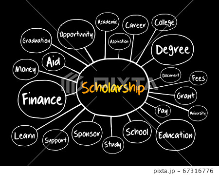 Scholarship mind map flowchart, education concept 67316776