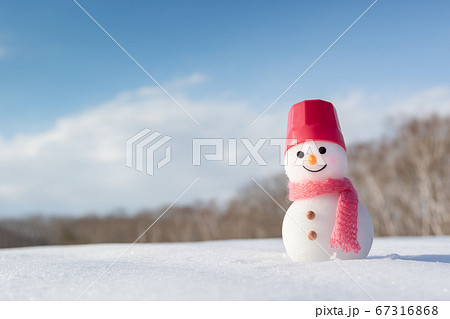 広い雪原と手作りの雪だるま 67316868