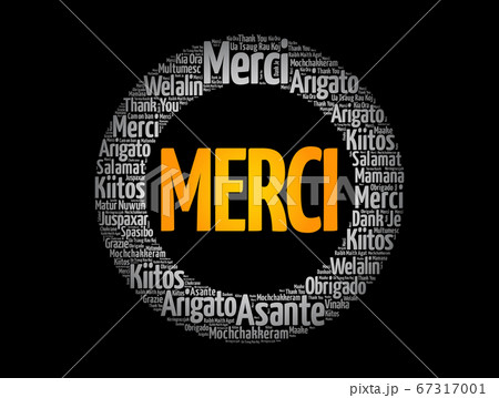 Merci (Thank You in French) word cloud 67317001