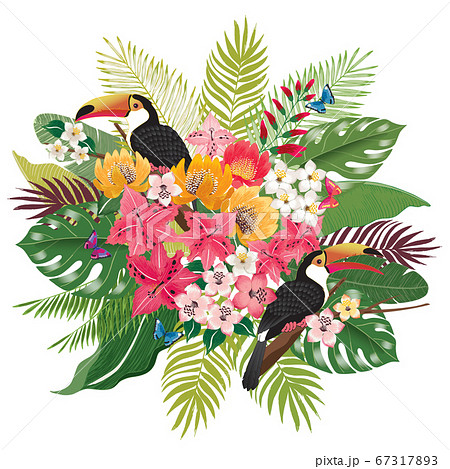 Vector Illustration Of Tropical Flowers In のイラスト素材
