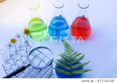 Collection of laboratory equipments of experiment chemical in Lab. 67318108