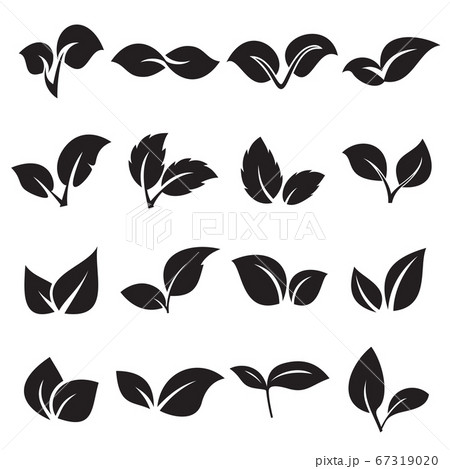 Two leaves icons. Concepts for nature, natural product, ecology. Vector illustration Two leaves icons. Concepts for nature, natural product, ecology. Vector illustration 67319020