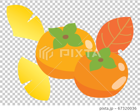 2つの柿と秋の葉っぱのイラスト素材