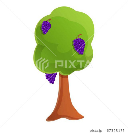 Vineyard icon, cartoon style Vineyard icon, cartoon style 67323175