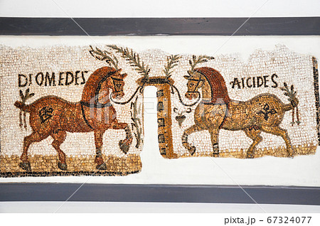 Tunis, TUNISIA - February 06, 2009: Ancient Roman mosaics in Bardo National Museum 67324077