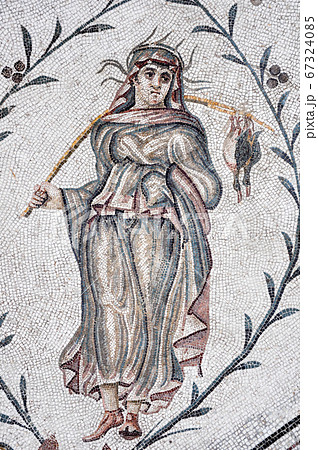 Tunis, TUNISIA - February 06, 2009: Ancient Roman mosaics in Bardo National Museum Tunis, TUNISIA - February 06, 2009: Ancient Roman mosaics in Bardo National Museum 67324085