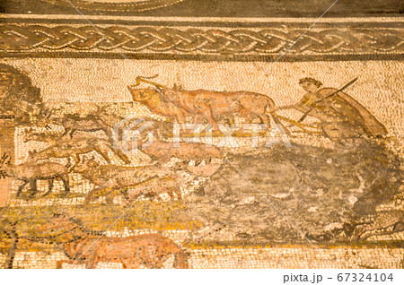 Tunis, TUNISIA - February 06, 2009: Ancient Roman mosaics in Bardo National Museum 67324104