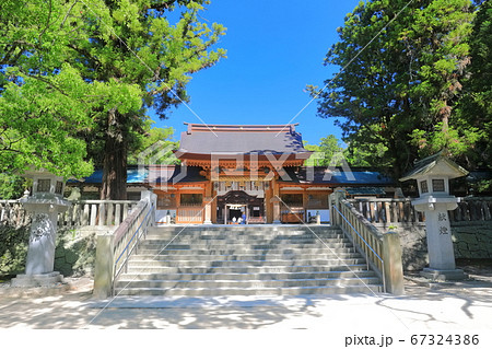 【愛媛県】新緑の大山祇神社(神門) 【愛媛県】新緑の大山祇神社(神門) 67324386